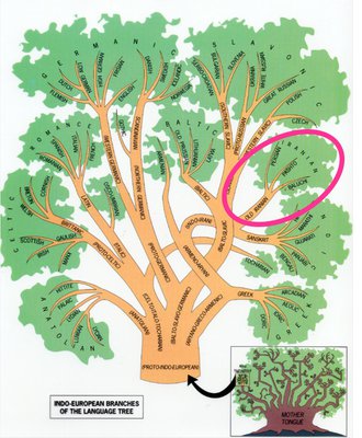 Indoeuropean language family tree.jpg